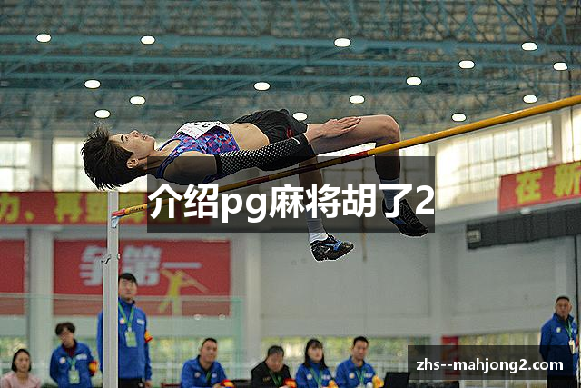 介绍pg麻将胡了2